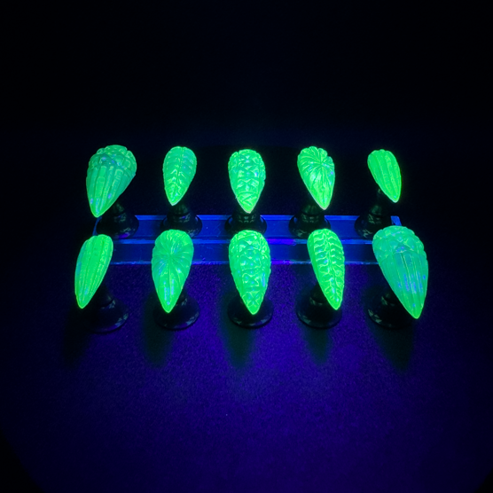 Get ready for "The Uranium Glass" and embrace vintage decor glamour with these stunning handmade press-on nails, featuring a glow-in-the-dark neon green color with a 3D glass effect inspired by vintage uranium glassware.